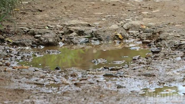 Nhiều ổ voi, ổ gà gây tiềm ẩn tai nạn giao thông cho người dân đi lại.