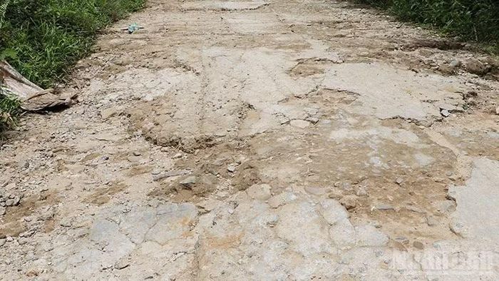 Việc sớm đầu tư xây dựng tuyến đường vào làng dân tộc Cor ở thôn Bồng Miêu, xã Phú Ninh, thành phố Đà Nẵng là điều cấp thiết nhất hiện nay.