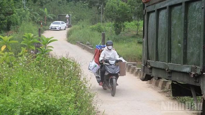 Cần có chính sách đặc thù riêng để tạo điều kiện cho khu vực miền núi Tam Lãnh (cũ) phát triển.