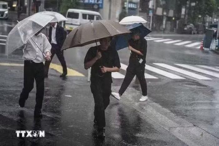 Một cơn bão gây mưa lớn tại Nhật Bản. (Ảnh: THX/TTXVN)