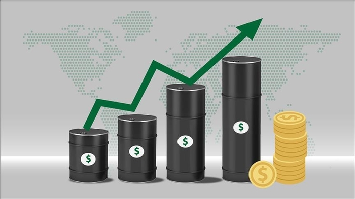 Giá dầu thế giới tăng hơn 3 USD mỗi thùng trong phiên giao dịch ngày 6-8. Ảnh minh họa: Anadolu Ajaisu