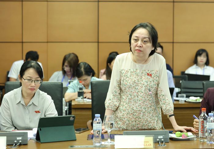  ĐB Phạm Khánh Phong Lan (TPHCM). Ảnh: QUANG PHÚC 