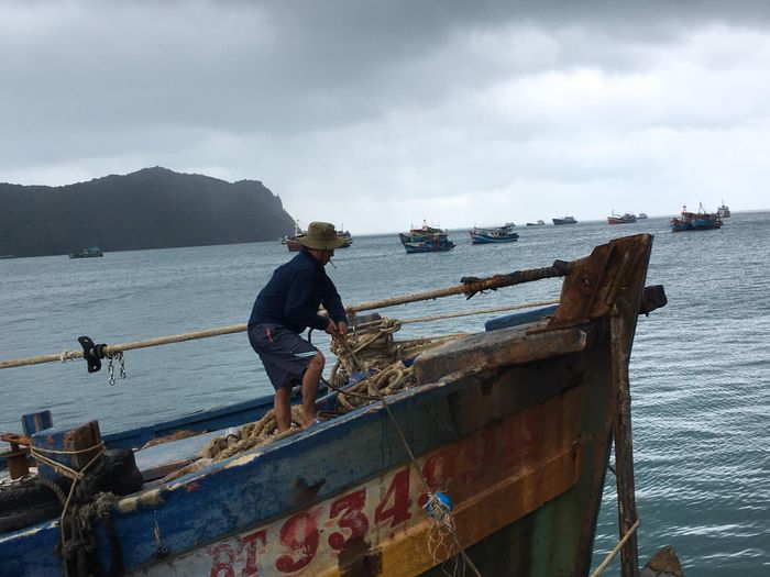  Tàu cá khai thác hải sản ở vùng biển Vân Đồn (tỉnh Quảng Ninh). Ảnh: PHÚC HẬU 