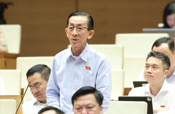 ĐB Trần Hoàng Ngân (TPHCM) phát biểu tại hội trường Diên Hồng, chiều 7-8. Ảnh: QUANG PHÚC