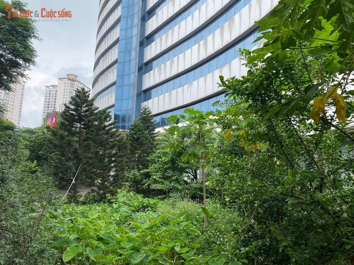 Gần 10.000m² "đất vàng" bị lãng phí trong khi các cơ sở y tế lân cận luôn trong tình trạng quá tải.