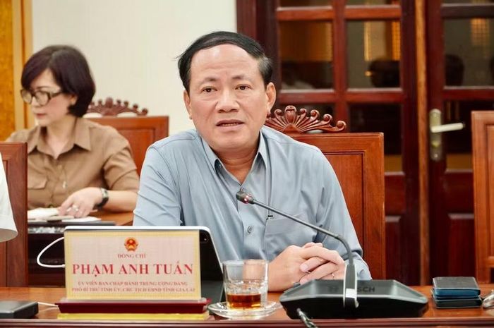 Chủ tịch UBND tỉnh Gia Lai Phạm Anh Tuấn phát biểu tại buổi làm việc.