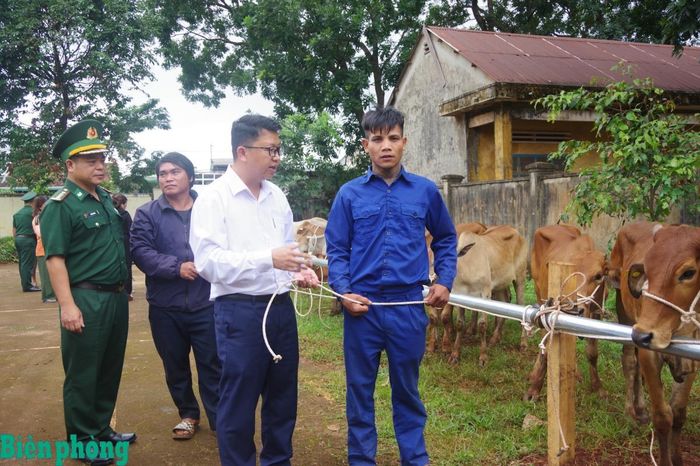 Lãnh đạo Ban Chỉ huy Bộ đội Biên phòng tỉnh Gia Lai và chính quyền địa phương trao bò giống tặng các hộ dân có hoàn cảnh khó khăn ở khu vực biên giới Việt Nam - Campuchia. Ảnh: Công Cường
