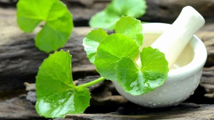 Rau má giúp hỗ trợ trị cảm lạnh, bệnh da liễu.