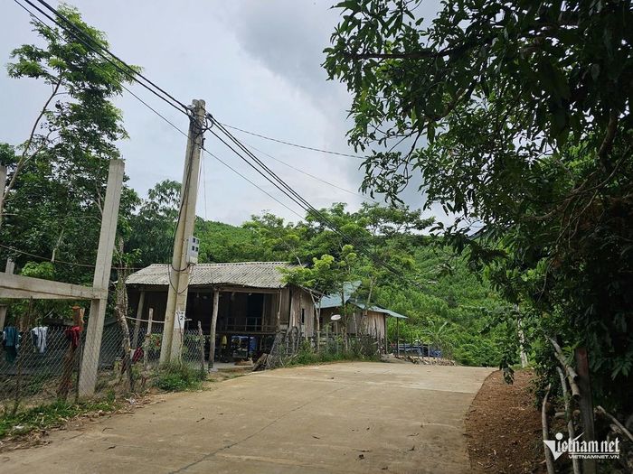 Hệ thống đường dây điện lưới quốc gia được kéo về bản Rào Con. Ảnh: Hải Sâm