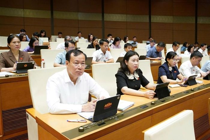 Các đại biểu tham dự Phiên họp (Ảnh: CTTĐT Quốc hội).