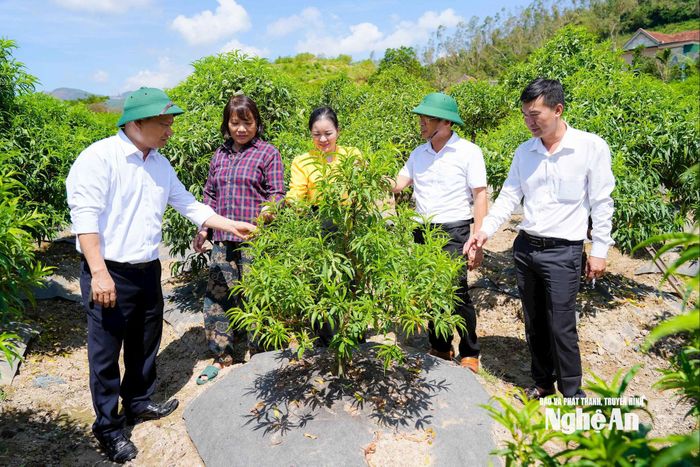 Cán bộ xã Yên Trung trao đổi với người dân về mô hình phát triển kinh tế trên địa bàn. Ảnh: Thanh Lê
