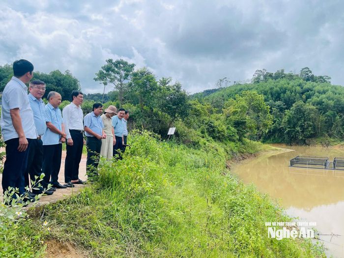 Các đồng chí thành viên Đoàn giám sát đi kiểm tra thực tế tại xã Hùng Chân.