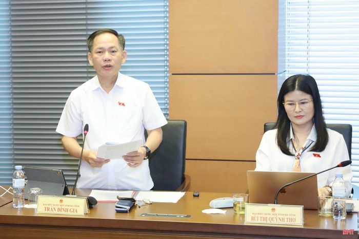 Đại biểu Trần Đình Gia - Phó Trưởng đoàn chuyên trách Đoàn ĐBQH tỉnh Hà Tĩnh tham gia thảo luận.