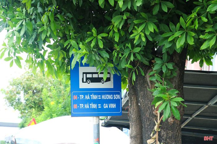 Tuyến quốc lộ 1 đoạn qua địa bàn xã Đông Kinh, Can Lộc, một số biển báo và biển chỉ dẫn điểm dừng xe buýt cũng bị cây xanh che khuất.