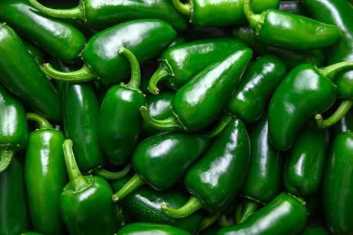 Ớt jalapenõ nhập khẩu từ Mexico. (Ảnh: CDC Mỹ)