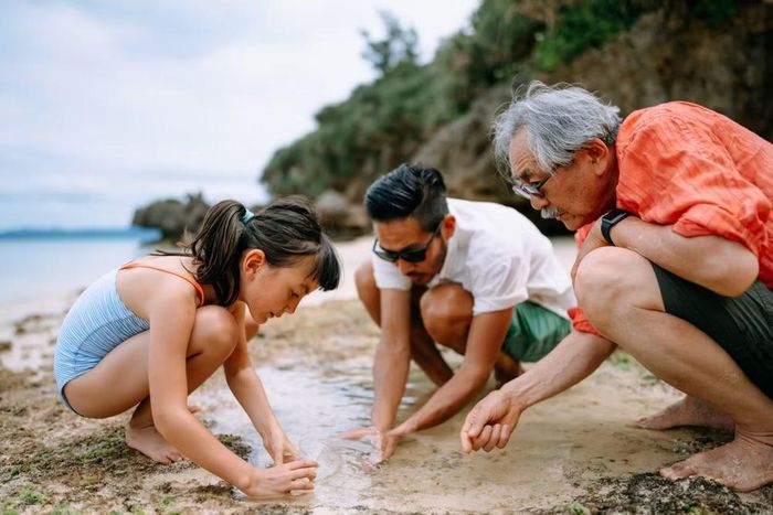 Nghỉ dưỡng ven biển dẫn đầu xu hướng du lịch nội địa trong cao điểm Hè vừa qua. (Ảnh minh họa: CTV/Vietnam+)