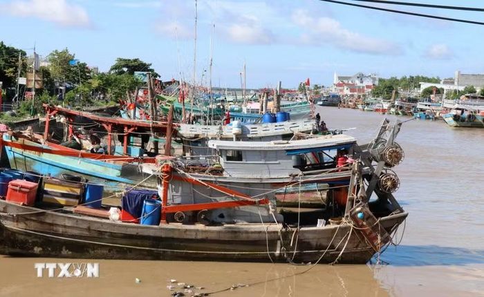 Tàu thuyền neo đậu tại Cảng cá Định An, xã Đại An, tỉnh Vĩnh Long. (Ảnh: Thanh Hòa/ TTXVN)