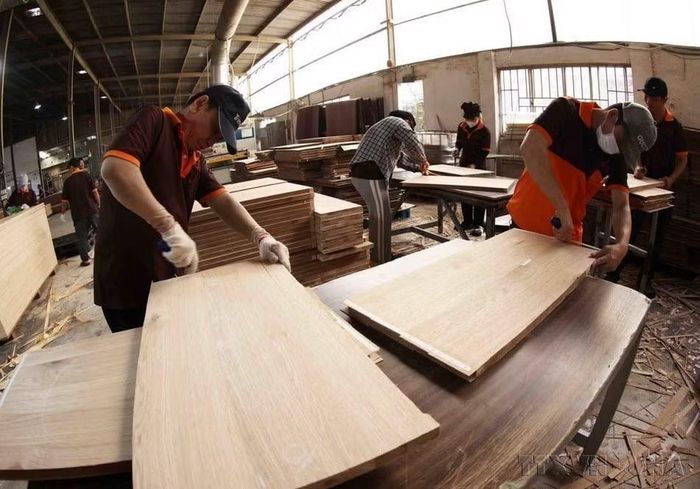 Sản xuất ván gỗ MDF xuất khẩu sang thị trường Mỹ, Australia, Thái Lan ở Công ty Trách nhiệm hữu hạn xây dựng và sản xuất MDF Hải Dương, phường Tân Hiệp, thành phố Tân Uyên, tỉnh Bình Dương. (Ảnh: Vũ Sinh/TTXVN)