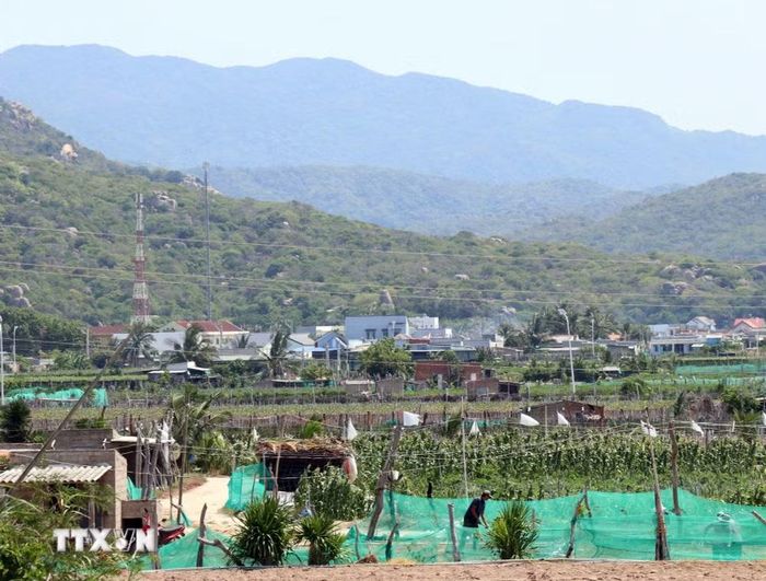 Người dân ở thôn Thái An (xã Vĩnh Hải, tỉnh Khánh Hòa) sẵn sàng di dời đến nơi tái định cư để giao đất xây dựng Nhà máy Điện hạt nhân Ninh Thuận 2. (Ảnh: Công Thử/TTXVN)