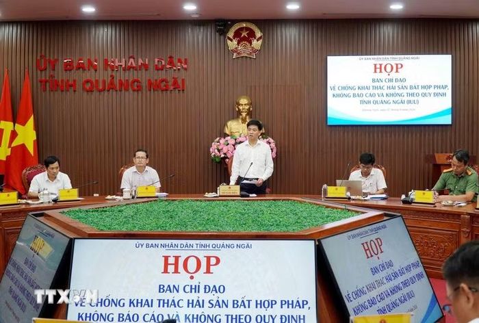 Phó Chủ tịch Ủy ban Nhân dân tỉnh Quảng Ngãi Đỗ Tâm Hiển phát biểu. (Ảnh: Lê Phước Ngọc/TTXVN)