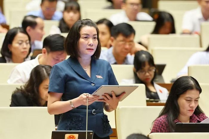 Đại biểu Quốc hội tỉnh Quảng Trị Nguyễn Minh Tâm phát biểu. (Ảnh: Doãn Tấn/TTXVN)