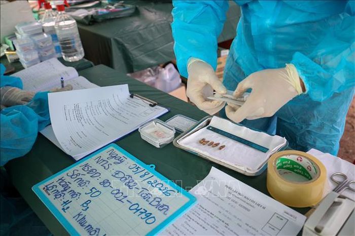 Nhân viên y tế đóng gói, niêm phong các mẫu hài cốt vào hộp bảo quản theo đúng quy trình chuyên môn.