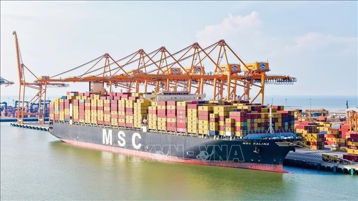 Tàu MSC KALINA là tàu container lớn nhất từng cập khu vực bến cảng Lạch Huyện, thành phố Hải Phòng. Ảnh: TTXVN phát