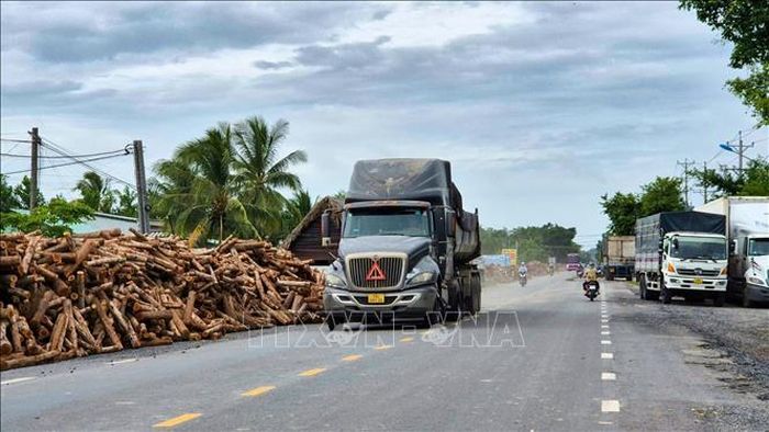 Tình trạng lấn chiếm hành lang an toàn giao thông để tập kết gỗ trên quốc lộ 22B diễn ra tại nhiều vị trí, ảnh hưởng đến trật tự an toàn giao thông trên tuyến đường huyết mạch của tỉnh Tây Ninh.