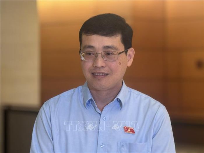 Đại biểu Đỗ Đức Hiển (Thành phố Hồ Chí Minh) trả lời phỏng vấn