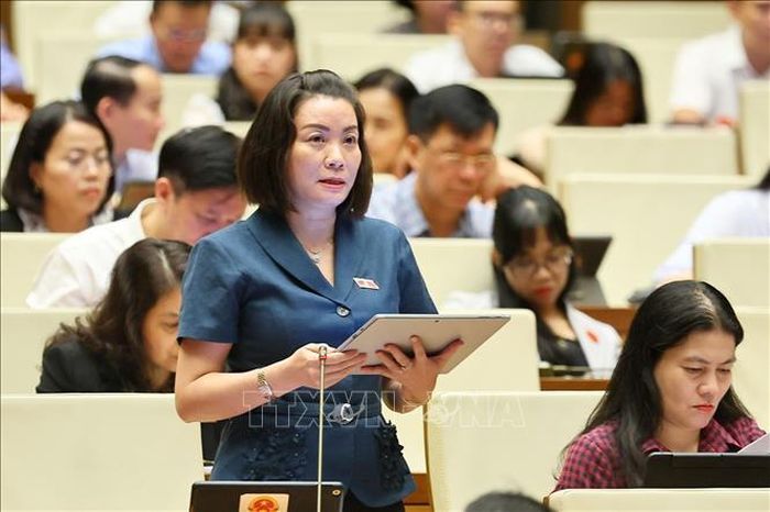 Đại biểu Quốc hội tỉnh Quảng Trị Nguyễn Minh Tâm phát biểu, chiều 7/8. Ảnh: Doãn Tấn/TTXVN