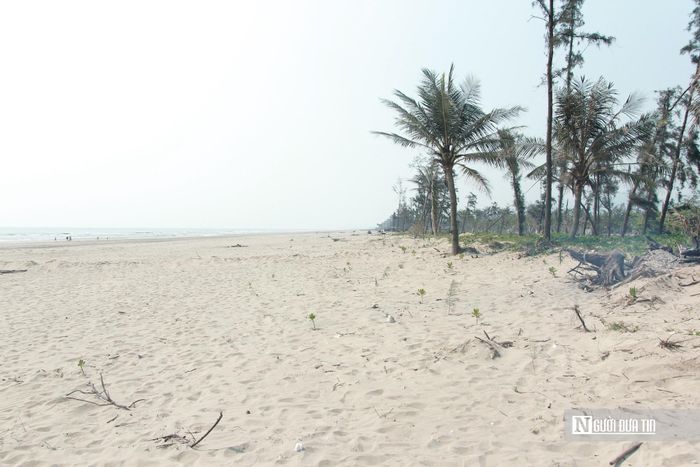 Bãi biển Xuân Thành vẫn còn khá hoang sơ, chưa được đầu tư phát triển.