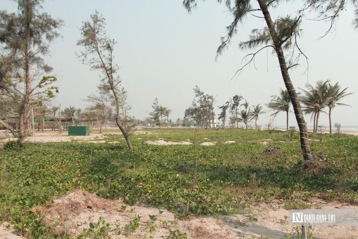 Diện tích dự án không sử dụng đang trở nên hoang hóa, lãng phí.