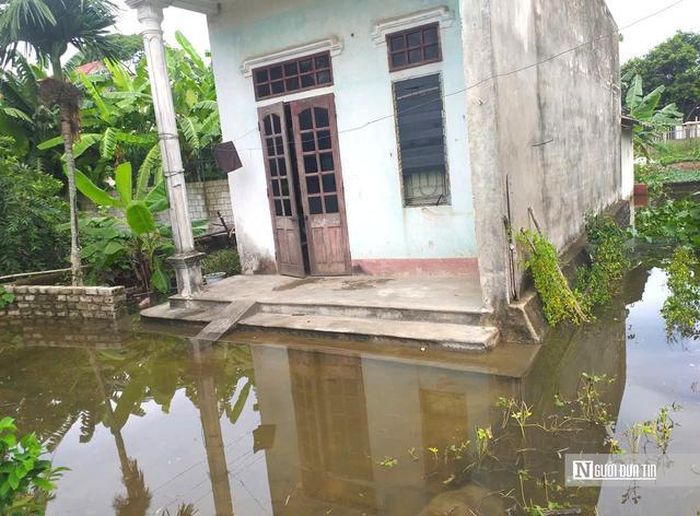 Ngôi nhà gia đình ông Lê Xuân Đạt bị nước bao quanh mỗi khi mưa lớn.