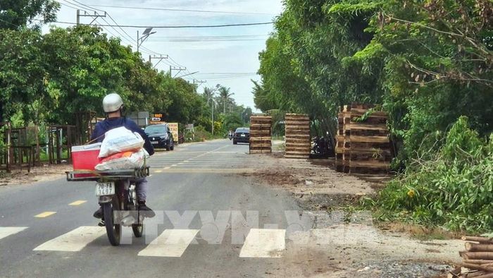 Gỗ nguyên liệu được tập kết lấn chiếm đường lưu thông trên Quốc lộ 22B, đoạn qua phường Thanh Điền (Tây Ninh), ảnh hưởng đến tầm nhìn và không gian an toàn của người tham gia giao thông. Ảnh: Minh Phú – TTXVN