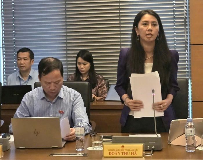 Đại biểu Đoàn Thu Hà (Đoàn Lạng Sơn). Ảnh: Bích Hồng/Bnews/vnanet.vn