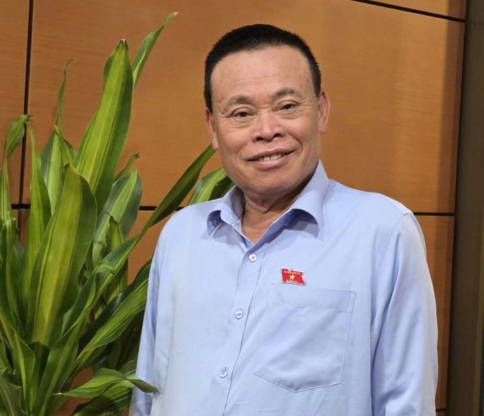 Đại biểu Nguyễn Như so (Đoàn Bắc Ninh). Ảnh: Bích Hồng/Bnews/vnanet.vn