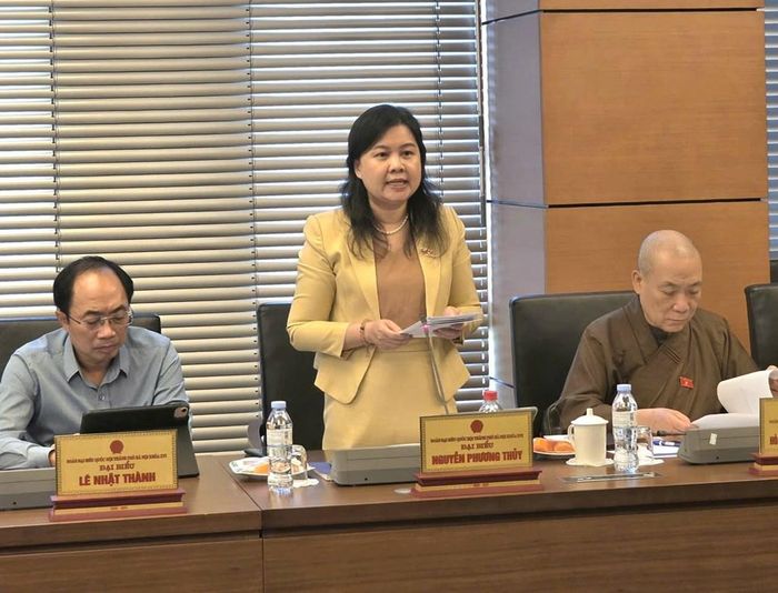 Đại biểu Nguyễn Phương Thủy (Đoàn Hà Nội). Ảnh: Bích Hồng/Bnews/vnanet.vn