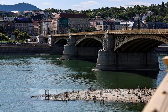 Mực nước sông Danube tại Dunaszekcso, Hungary xuống thấp nghiêm trọng, ngày 28/7/2026. Ảnh: THX/TTXVN phát 