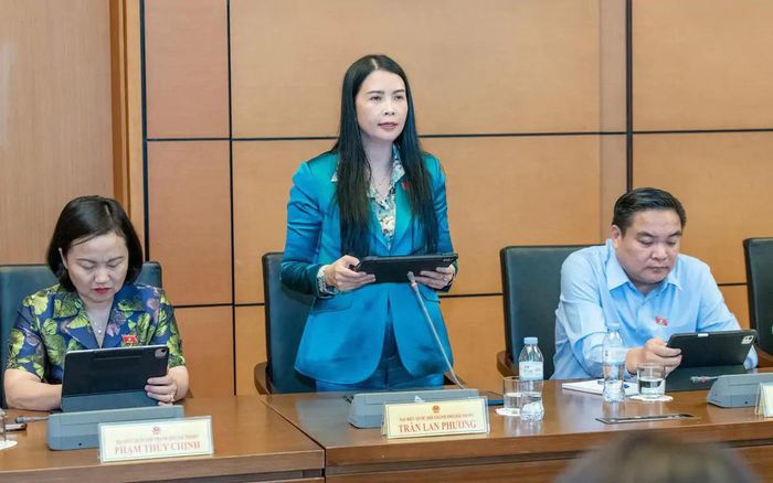 Đại biểu Trần Lan Phương, Phó Chủ tịch Thường trực Hội LHPN Việt Nam, Đoàn ĐBQH TP Hải Phòng, phát biểu