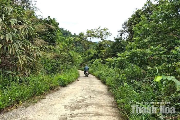 Tuyến đường Thanh Niên nhỏ hẹp khiến cho việc kết nối du lịch từ bản Năng Cát (xã Linh Sơn) với xã Yên Thắng gặp khó khăn.