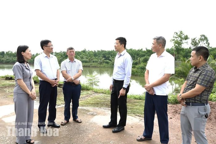 Phó Bí thư Thường trực Tỉnh ủy Nguyễn Hồng Phong kiểm tra thực địa công tác chuẩn bị ứng phó với mùa mưa bão tại xã Tân Tiến.