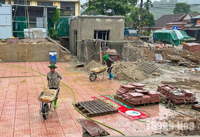 Không khí lao động diễn ra khẩn trương từ sáng sớm đến chiều tối.