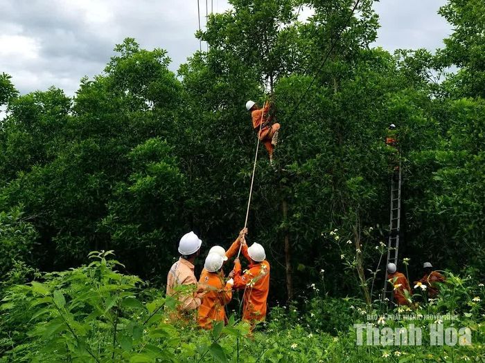 Nhân viên Xí nghiệp lưới điện Cao thế Thanh Hóa (Công ty Điện lực Thanh Hóa) giải phóng hành lang an toàn lưới điện trước mùa mưa bão.