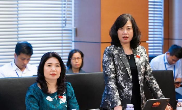  Đồng chí Đào Hồng Lan phát biểu thảo luận. 