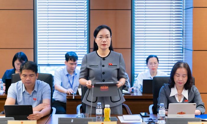  Đại biểu Đỗ Thị Việt Hà phát biểu ý kiến. 