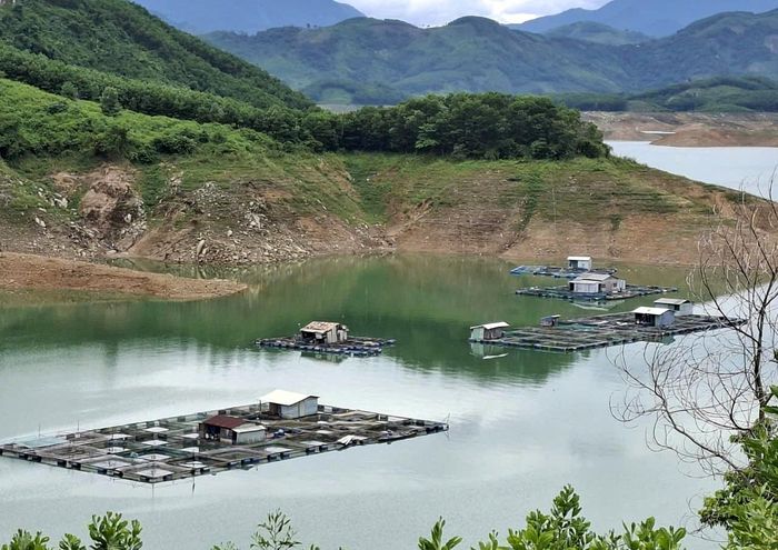Nuôi cá ở lòng hồ thủy điện Sông Tranh 2. Ảnh: QUANG VIỆT