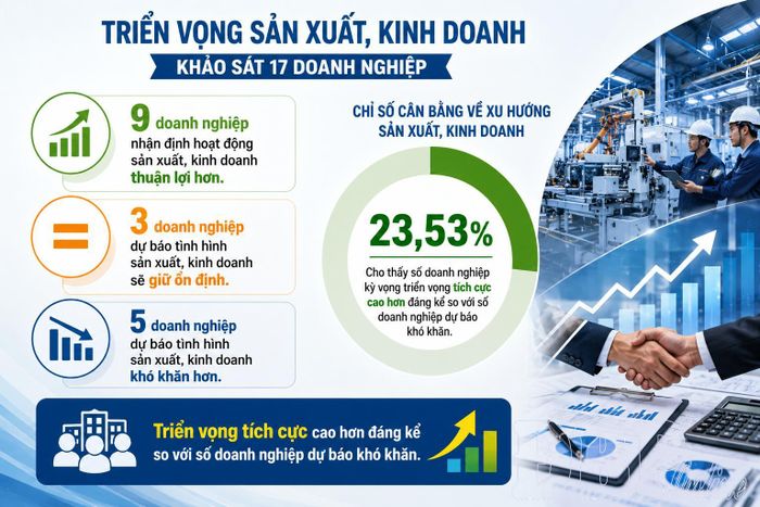 Kết quả khảo sát triển vọng sản xuất kinh doanh tại 17 doanh nghiệp.