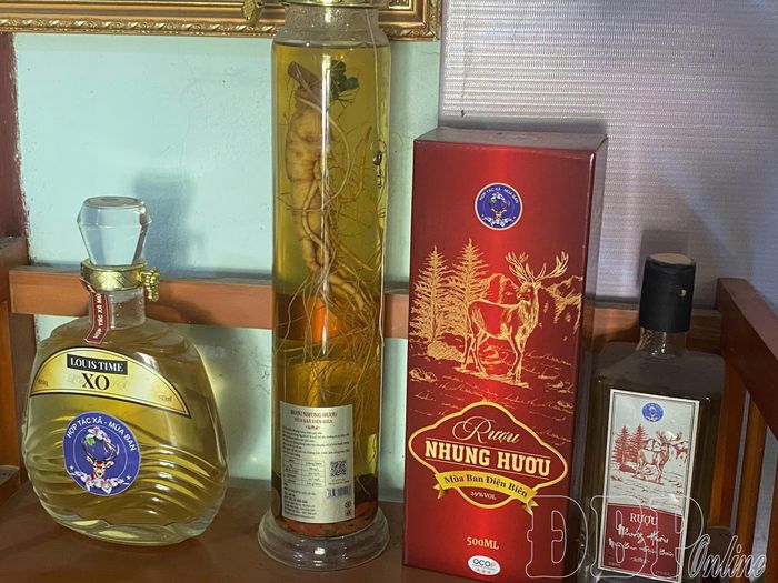 Hiện nay HTX Mùa Ban đã phát triển được ba sản phẩm OCOCP 3 sao từ nhung hươu, tiến tới xây dựng chuỗi sản xuất cung ứng ổn định, bền vững.