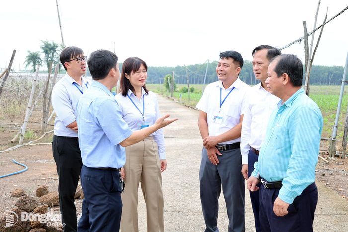 Đoàn giám sát khảo sát thực tế tại xã Lộc Hưng. Ảnh: Hồ Thảo