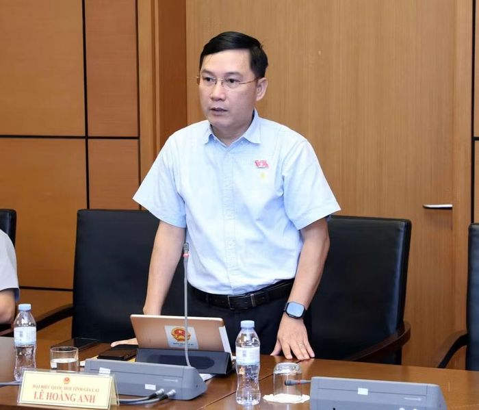  ĐB Lê Hoàng Anh đề nghị Chính phủ báo cáo rõ hơn về tác động của việc tăng tổng mức đầu tư khoảng 86.700 tỷ đồng. Ảnh: Đoàn ĐBQH tỉnh Gia Lai 